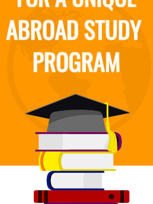 ZiBfY's Comp Card Portfolio Review: Elevating Your Presentation