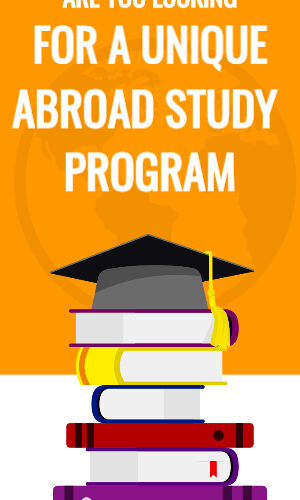 ZiBfY's Comp Card Portfolio Review: Elevating Your Presentation