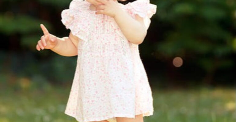 Everything You Need to Know About Model Zed Cards