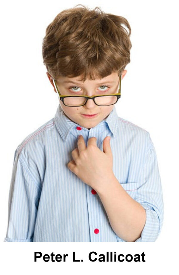 Junior Star Style: Stylish Compcard Template 2 Junior Star Style: Stylish Compcard Template