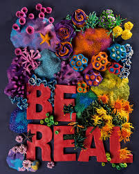 Unleashing Graphic Artwork Creativity with ZiBYs Design Suite